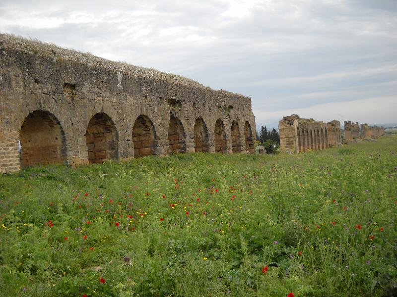 Carthage - Oued Milliane Nikon 086.jpg